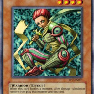 Yu-Gi-Oh! D.D. Warrior