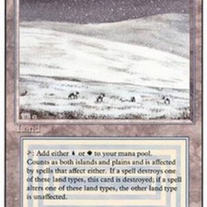 Magic: The Gathering Tundra