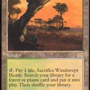 Magic: The Gathering Windswept Heath