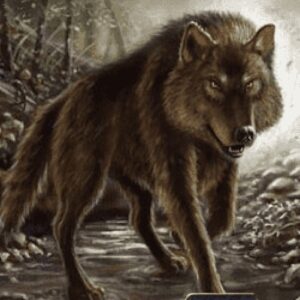 Magic: The Gathering Wolf Token