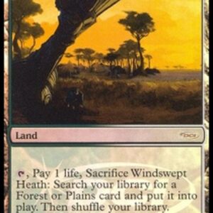 Magic: The Gathering Windswept Heath