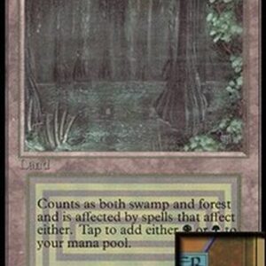 Magic: The Gathering Bayou