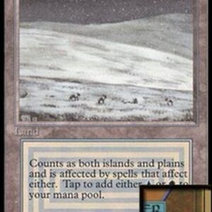 Magic: The Gathering Tundra