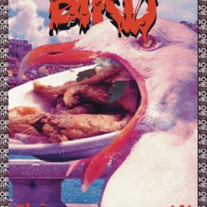 Magic: The Gathering Bird Token