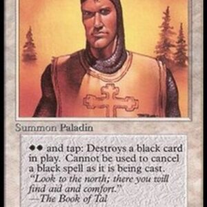 Magic: The Gathering Northern Paladin
