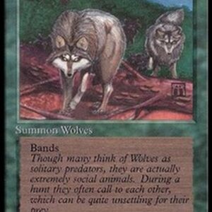 Magic: The Gathering Timber Wolves