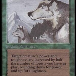 Magic: The Gathering Aspect of Wolf
