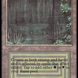 Magic: The Gathering Bayou
