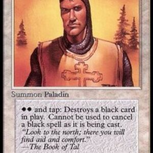 Magic: The Gathering Northern Paladin