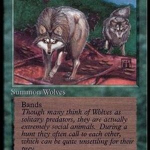 Magic: The Gathering Timber Wolves