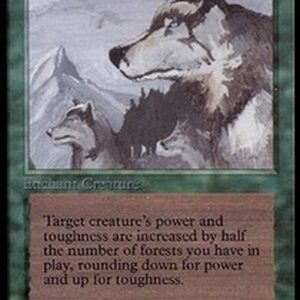 Magic: The Gathering Aspect of Wolf