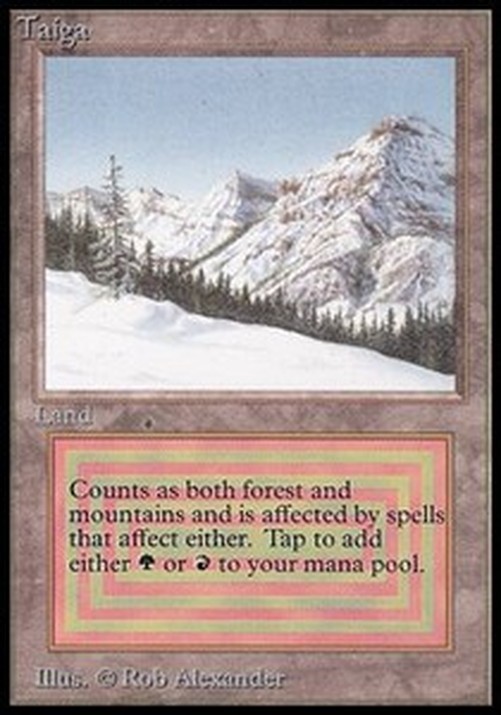 Magic: The Gathering Taiga