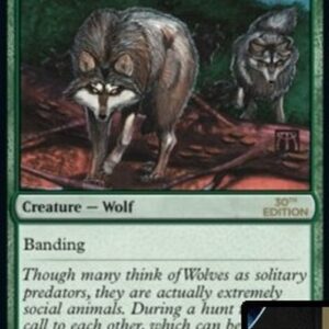 Magic: The Gathering Timber Wolves