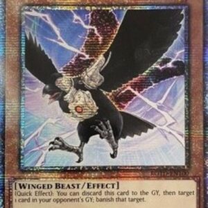 Yu-Gi-Oh! D.D. Crow