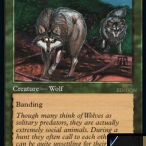 Magic: The Gathering Timber Wolves
