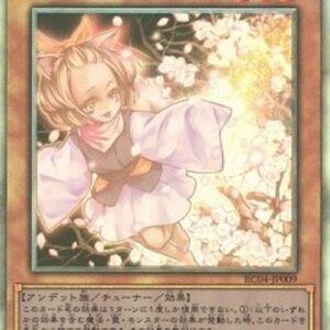Yu-Gi-Oh! Ash Blossom & Joyous Spring