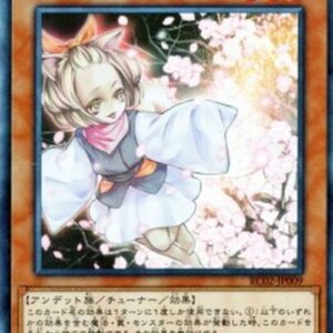 Yu-Gi-Oh! Ash Blossom & Joyous Spring