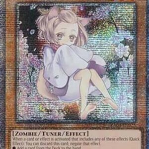 Yu-Gi-Oh! Ash Blossom & Joyous Spring