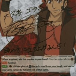 Cardfight!! Vanguard Imaginary Gift Protect [V Format]