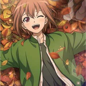 Cardfight!! Vanguard Energy [D-Format]