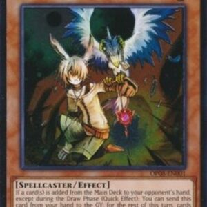 Yu-Gi-Oh! Droll & Lock Bird