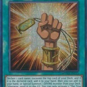 Yu-Gi-Oh! The True Name