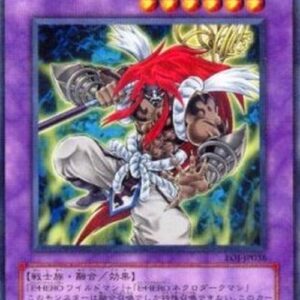 Yu-Gi-Oh! Elemental HERO Necroid Shaman