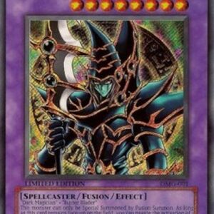 Yu-Gi-Oh! Dark Paladin