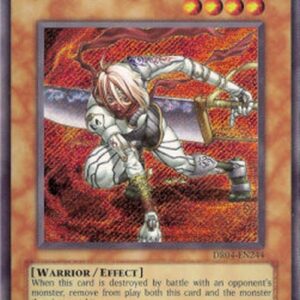 Yu-Gi-Oh! D.D. Assailant