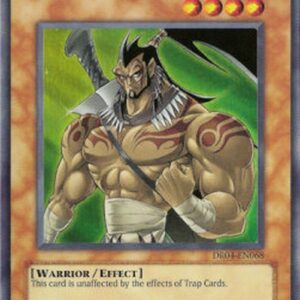Yu-Gi-Oh! Elemental HERO Wildheart
