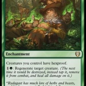 Magic: The Gathering Asceticism