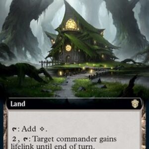 Magic: The Gathering Witchs Clinic