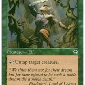 Magic: The Gathering Seeker of Skybreak