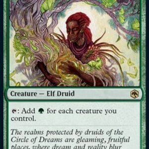 Magic: The Gathering Circle of Dreams Druid