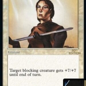 Magic: The Gathering Righteousness