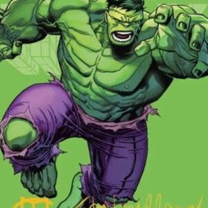 Magic: The Gathering Art Series: The Incredible Hulk