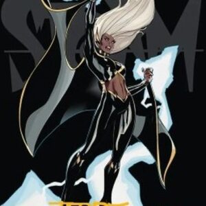 Magic: The Gathering Art Series: Storm, Windrider