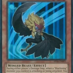 Yu-Gi-Oh! AP04 Blackwing - Kalut the Moon Shadow