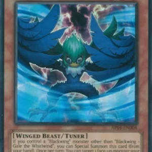 Yu-Gi-Oh! AP04 Blackwing - Gale the Whirlwind