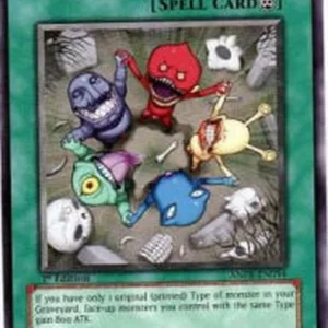 Yu-Gi-Oh! ANPR Solidarity
