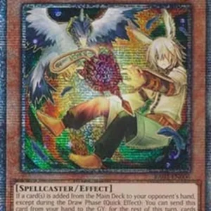 Yu-Gi-Oh! RA02 Droll & Lock Bird (V.10 - Quarter Century Secret Rare)