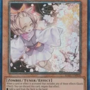 Yu-Gi-Oh! RA01 Ash Blossom & Joyous Spring (V.6 - Collectors Rare)
