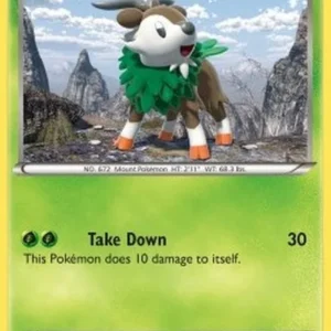 Pokemon Skiddo (XYPR 11)