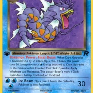 Pokemon Dark Gyarados (TR 25)