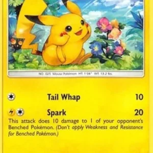 Pokemon Pikachu (TK10 A14)