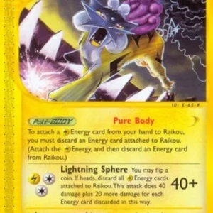 Pokemon Raikou (SK 28)