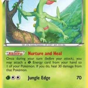 Pokemon Sceptile (PRC 8)