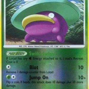 Pokemon Lotad Lv.14 (PL SH4)