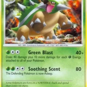 Pokemon Torterra Lv.48 (PL 39)
