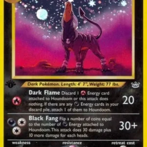 Pokemon Houndoom (NR 8)